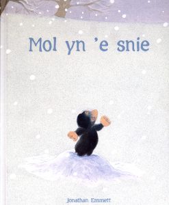 Mol yn 'e snie