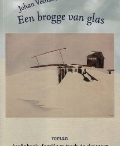 In brogge van glas - Audioboek