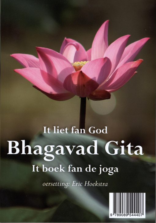 Bhagavad Gita / Het boek van de yoga