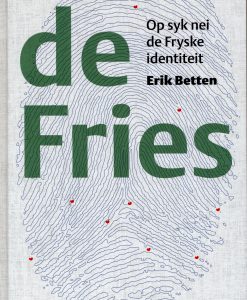 de Fries - Op syk nei de Fryske identiteit