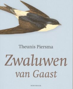 Zwaluwen van Gaast