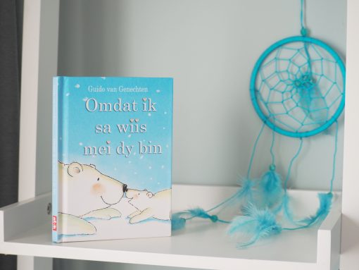 omdat ik sa wiis mei dy bin