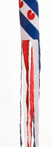 Fryske wynpûde