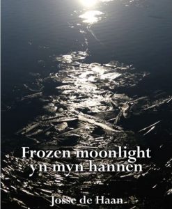 Frozen moonlight yn myn hannen