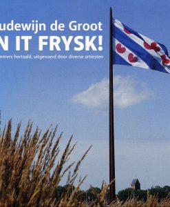 Boudewijn de Groot yn it Frysk