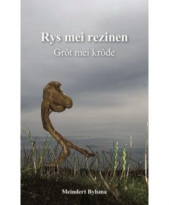 Rys mei rezinen