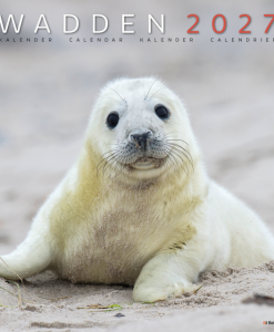 Wadden Maandkalender 2027