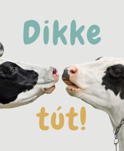 Kaart: Dikke tút!