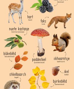 Poster: Hjerst