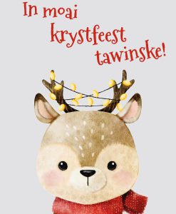 Krystkaart: in moai krystfeest tawinske!