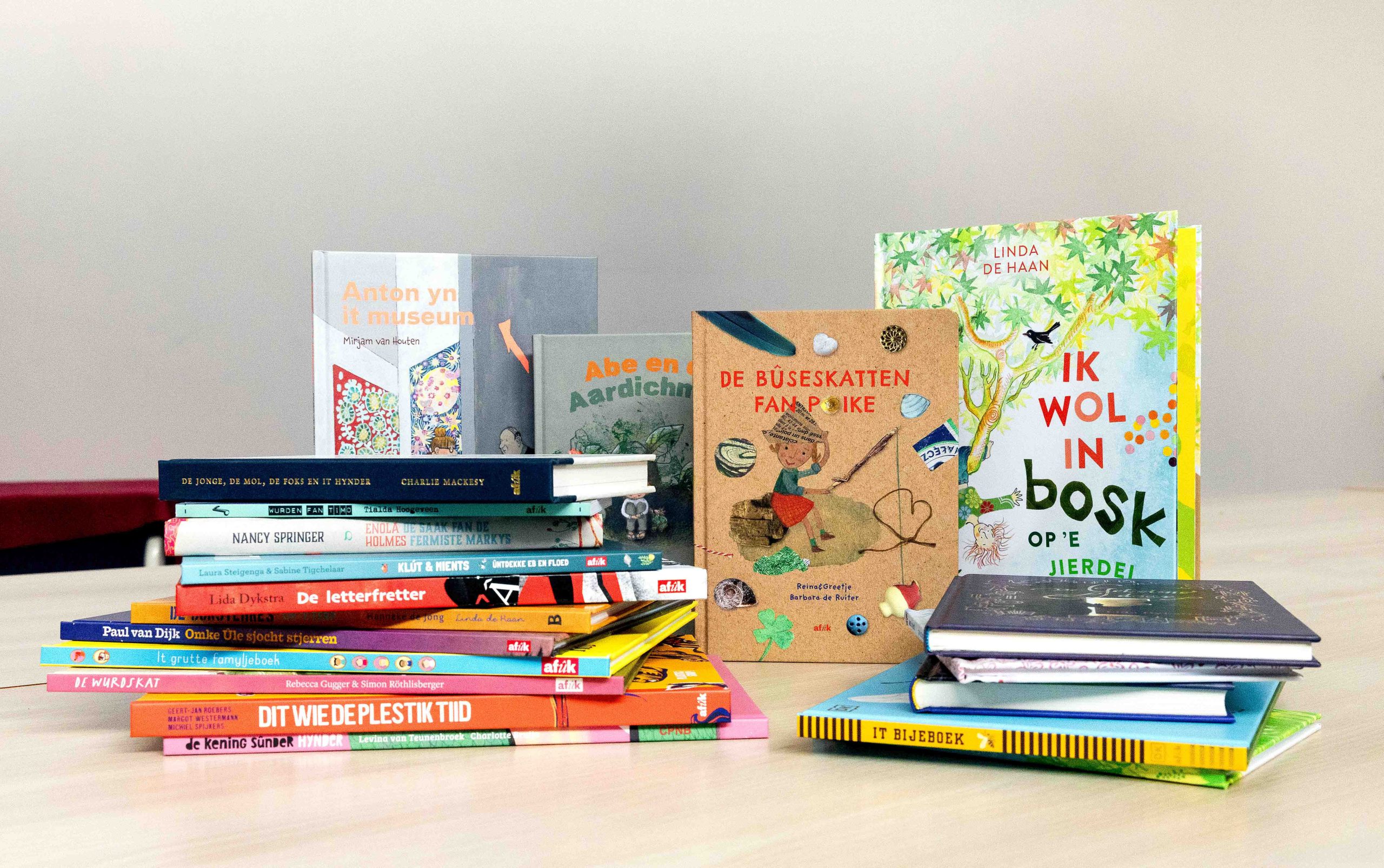 Lêspakket F Berneboeke-ambassadeur