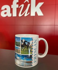 Fryslân Mok
