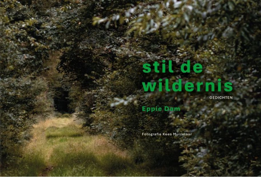 Stil de Wildernis - Gedichten